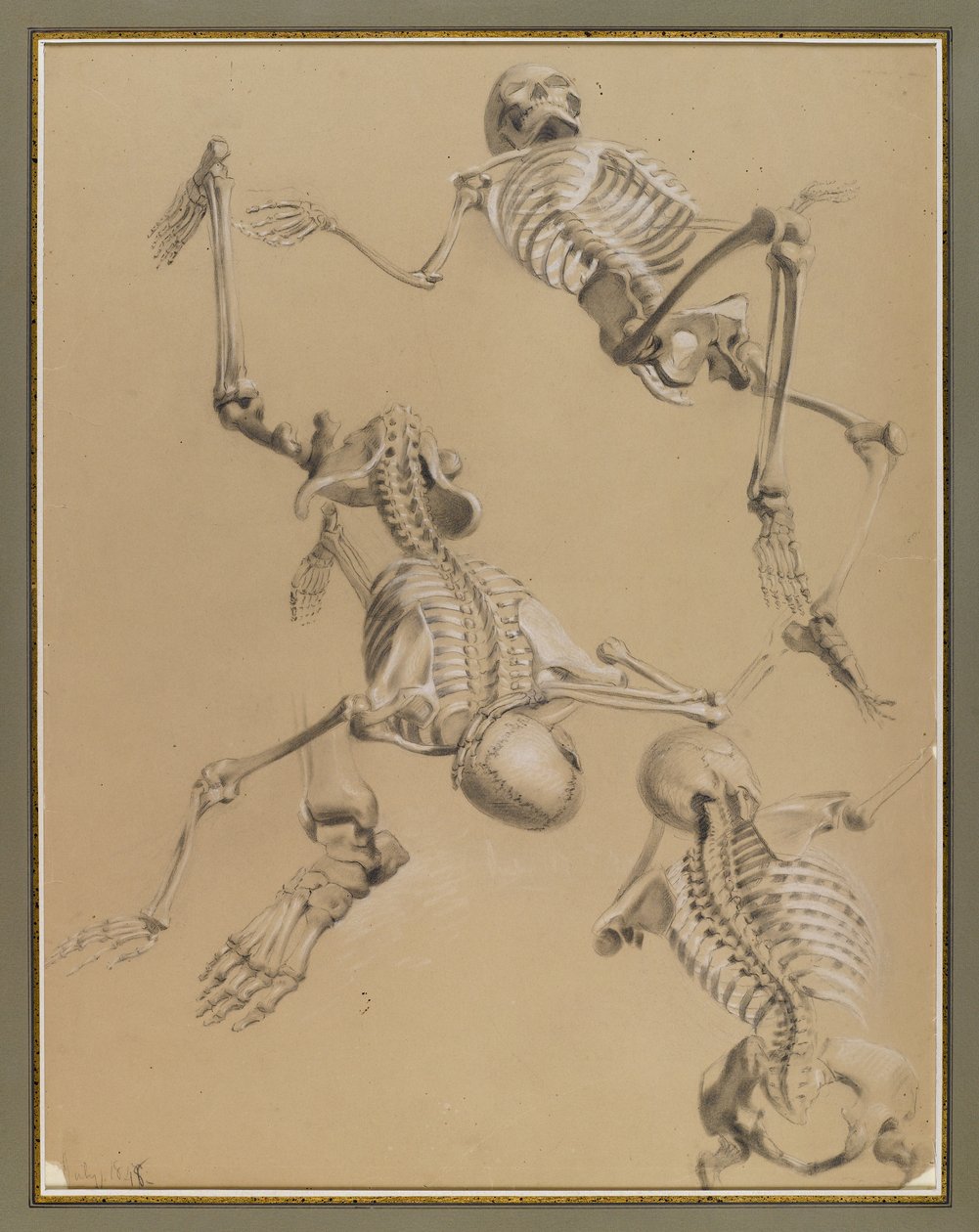 Studie von Skeletten, 1848 von Daniel Huntington