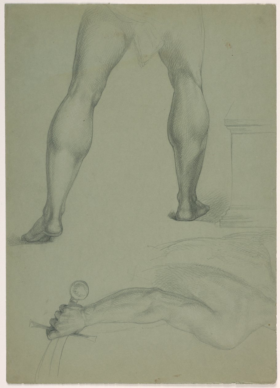 Zwei teilweise anatomische Studien von Daniel Huntington