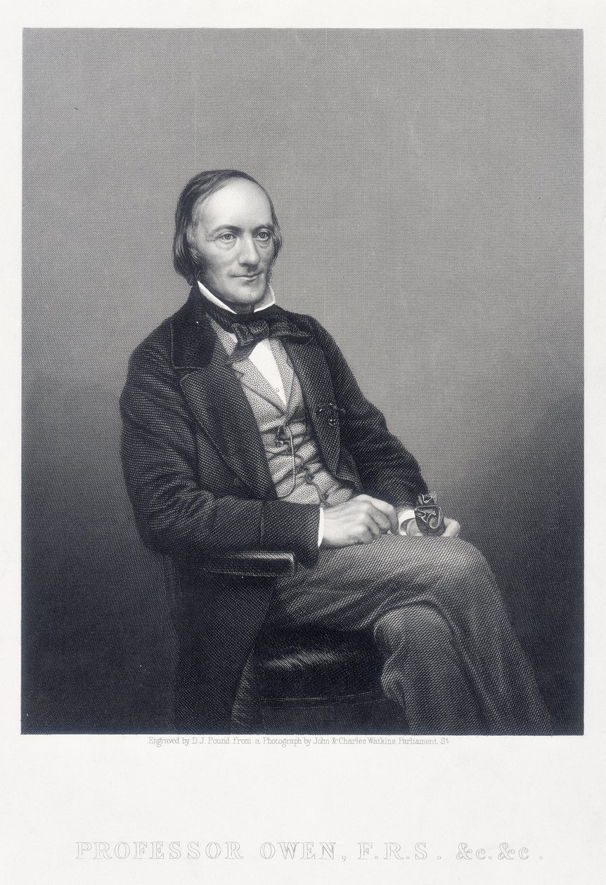 Sir Richard Owen, englischer Zoologe, um 1860 von Daniel John Pound