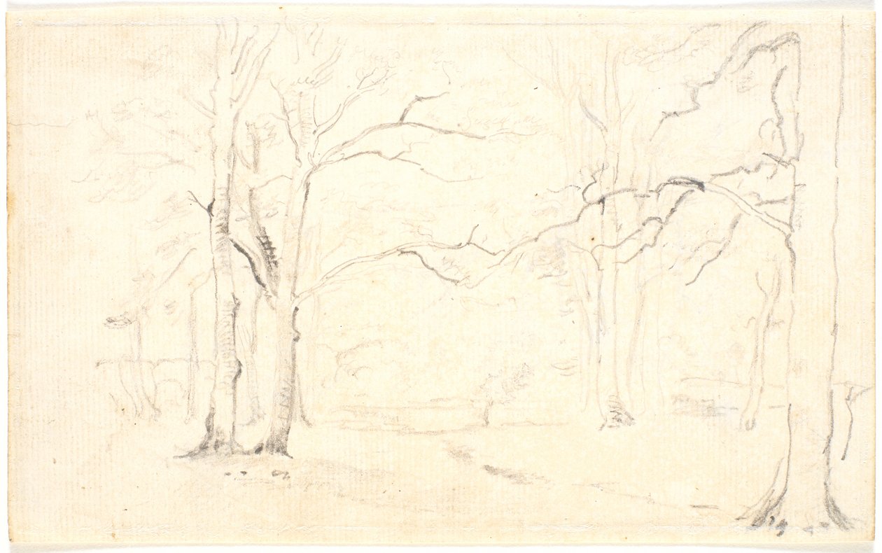 Waldinterieur von Dankvart Dreyer
