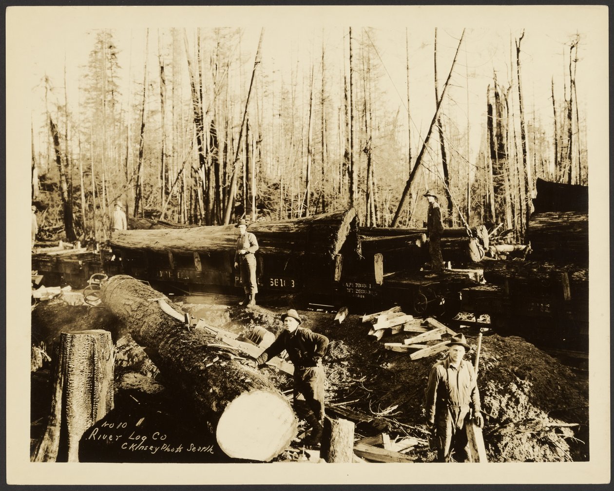 Holzfäller von Darius Kinsey