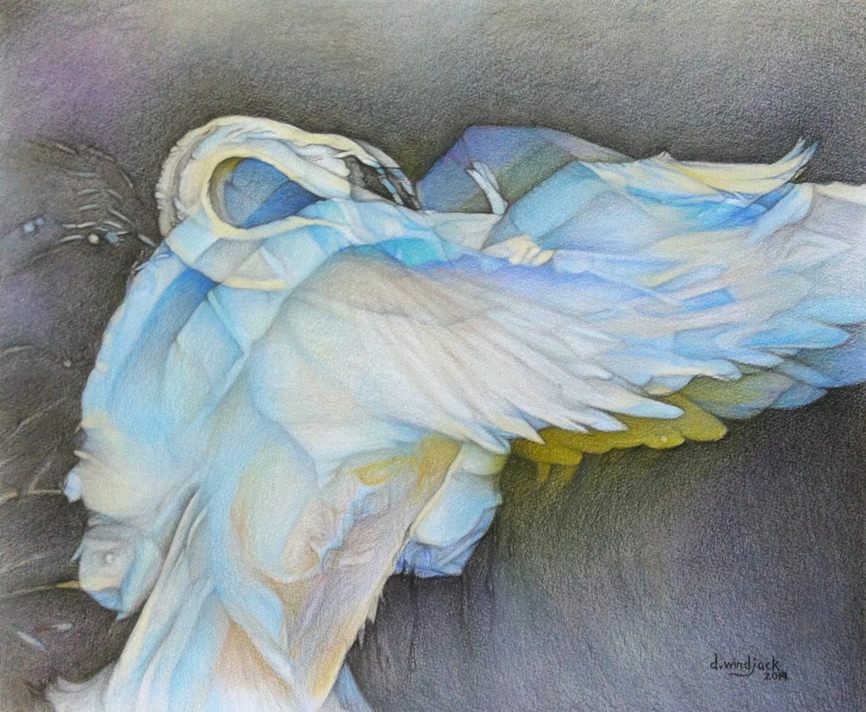 Taking Flight, 2019 von Darrell Windjack