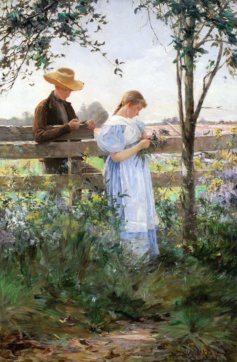 Eine ländliche Romanze von David B. Walkley