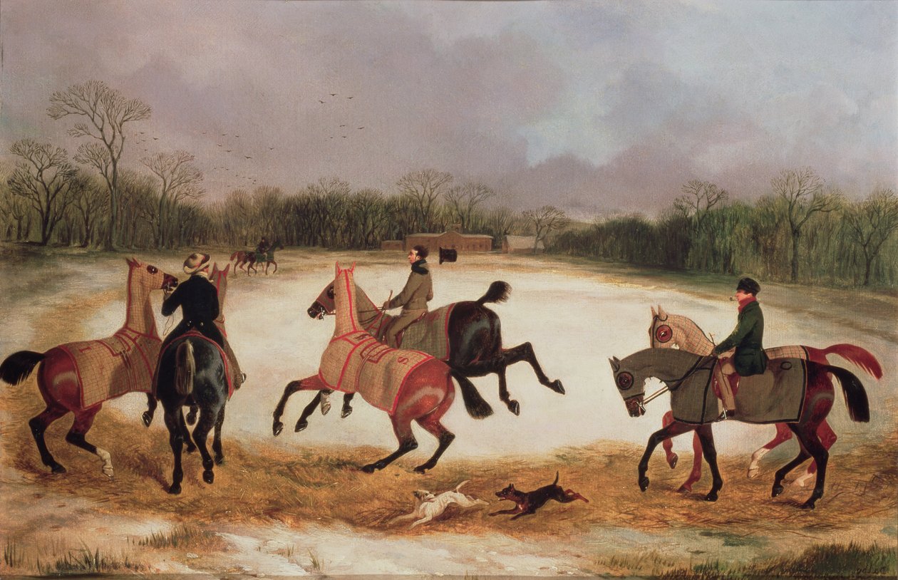 Pferdepfleger trainieren Rennpferde von David of York Dalby