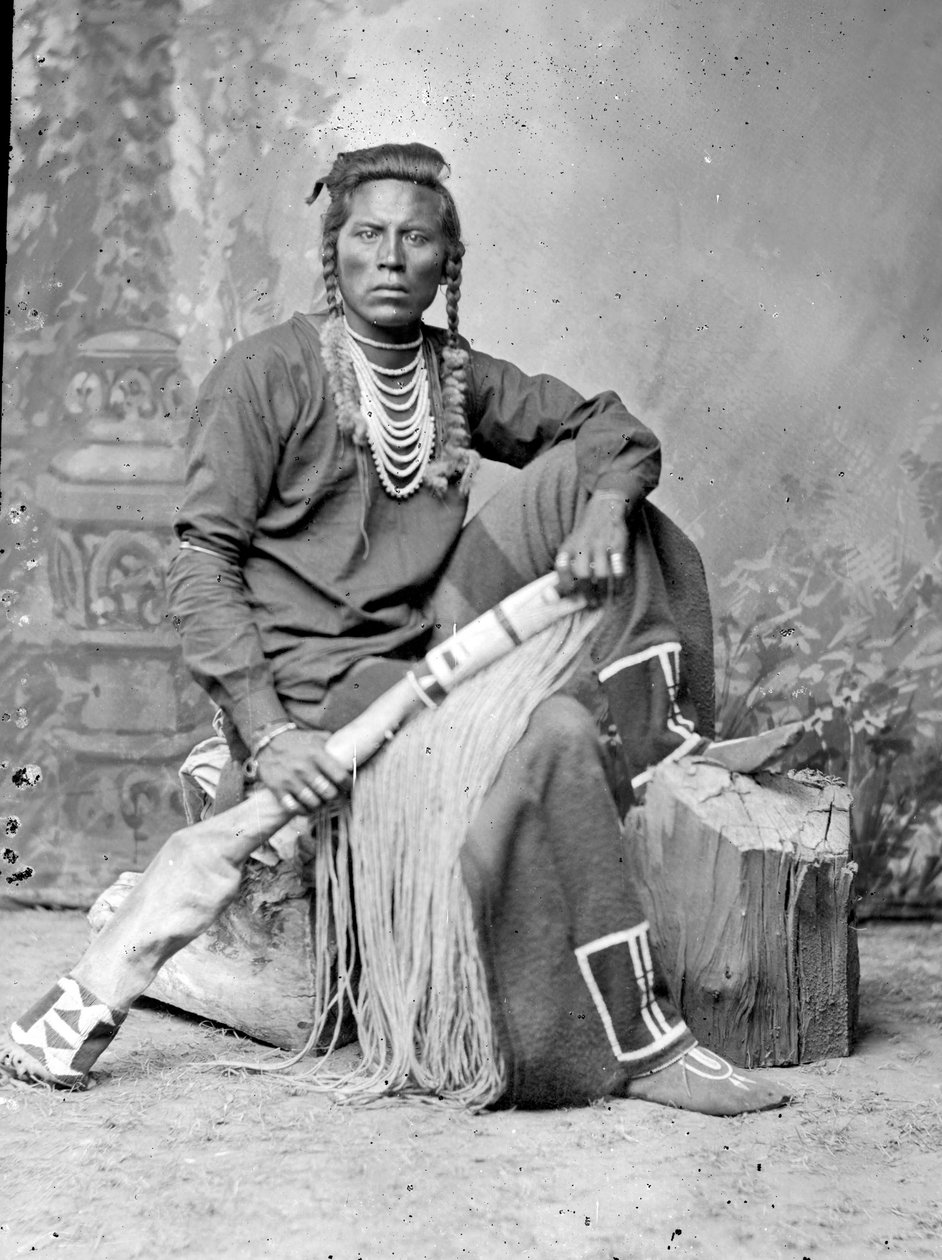 Curley, Crow Scout von David Frances Barry
