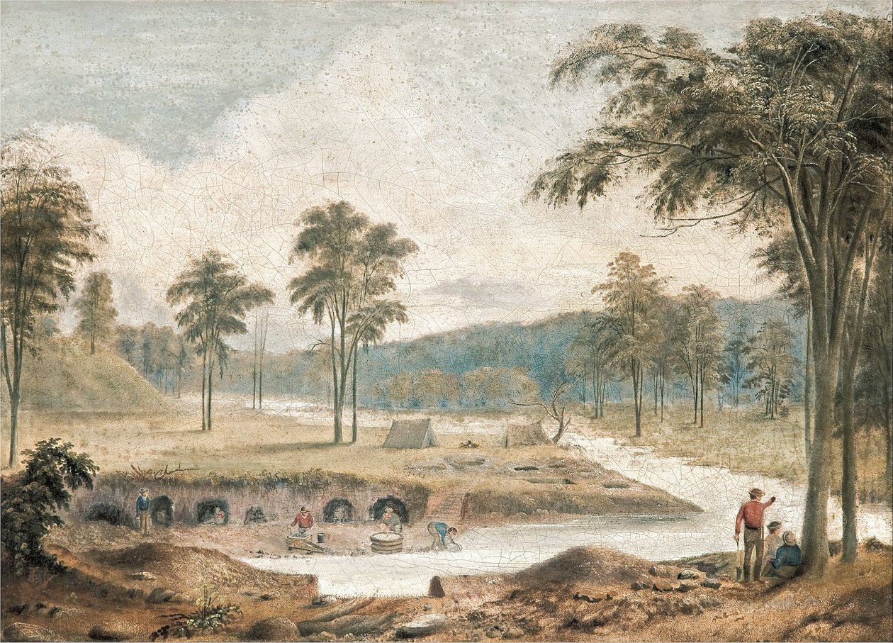 Goldgräberei von David Tulloch