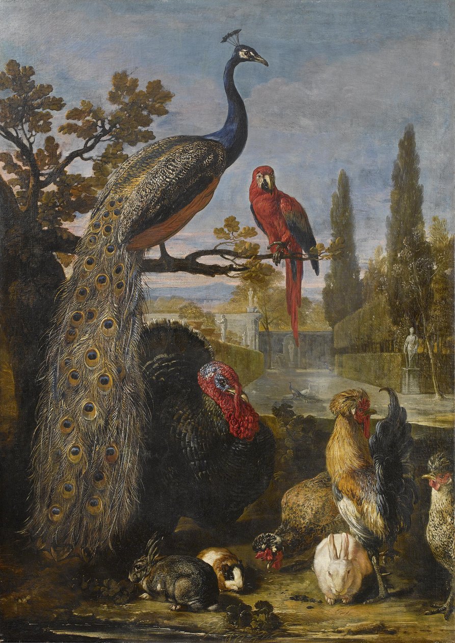 Ein Pfau, ein Papagei, ein Truthahn, Hähne, Kaninchen und ein Meerschweinchen in einer Parklandschaft von David de Coninck
