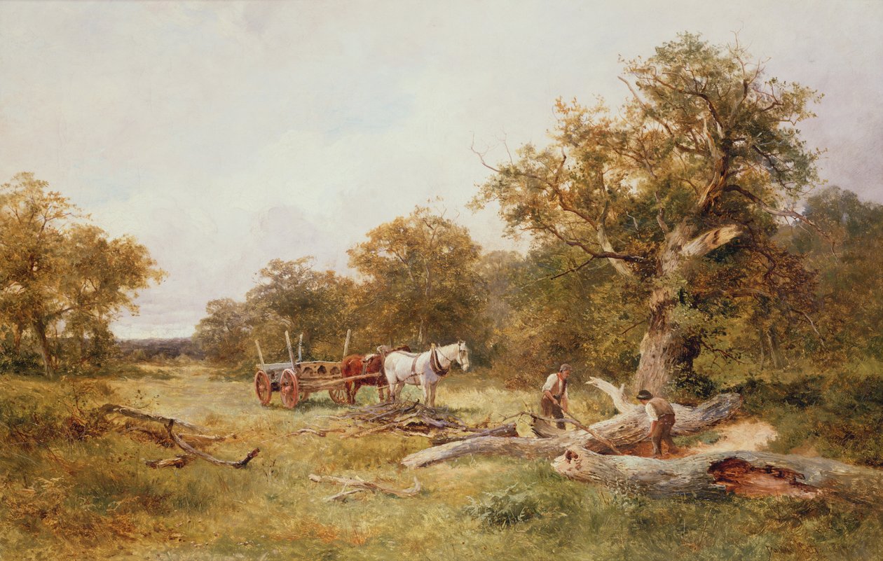 Im Wald von Dean von David Bates