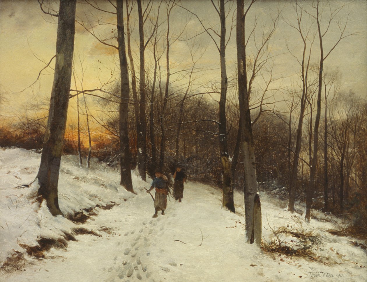 Malvern-Wälder von David Bates