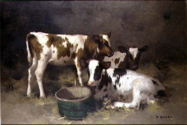 Drei Kälber von David Gauld