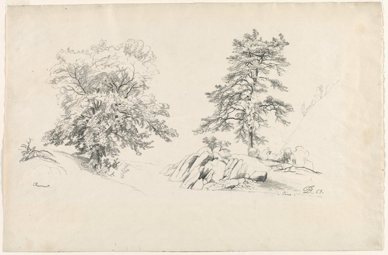 Kastanie und Kiefer, 1869 von David Johnson