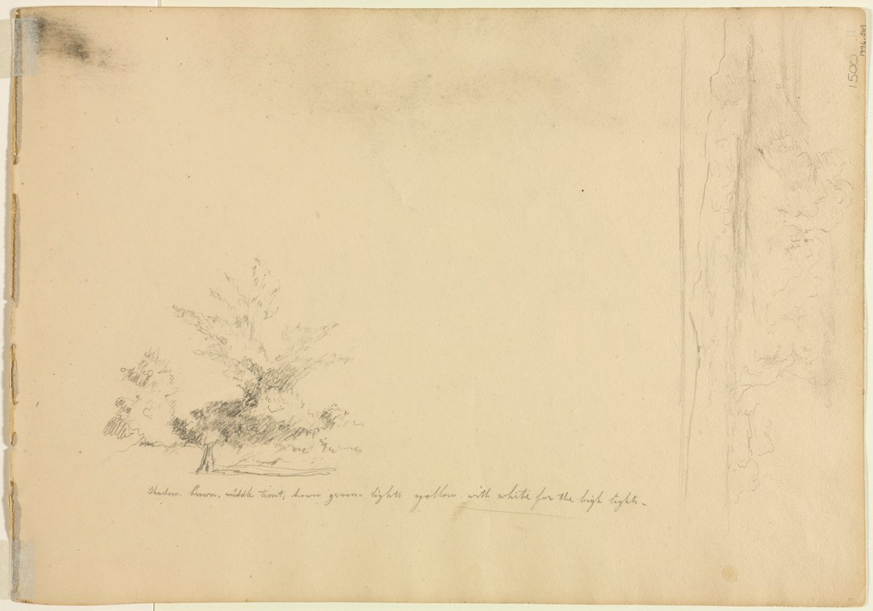 Landschafts- und Baumstudien (Rückseite) von David Johnson