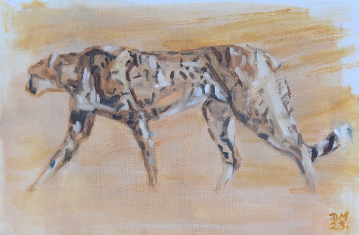 Gepard, 2022 von David Mayer