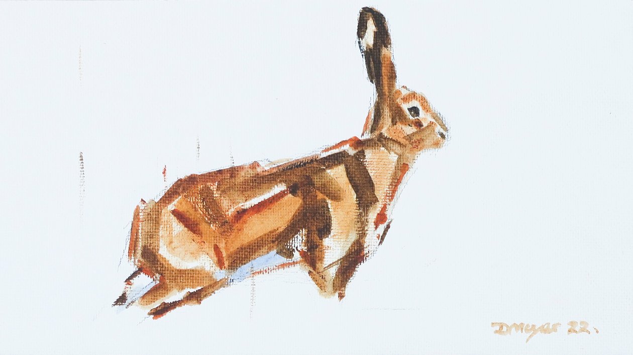 Hase, 2022 von David Mayer