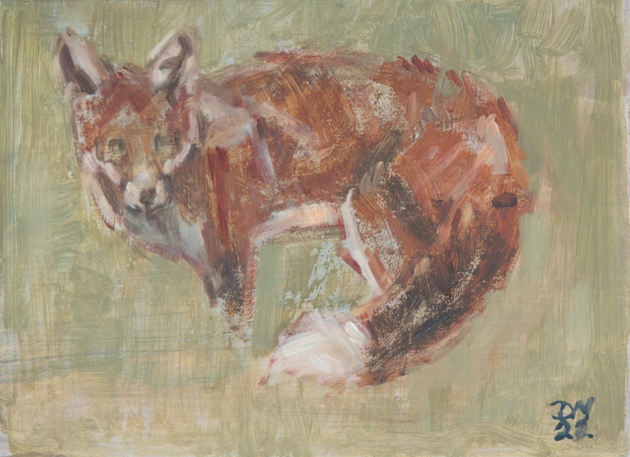 Rotfuchs, 2022 von David Mayer