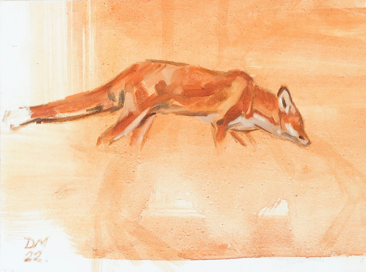 Roter Fuchs, 2022 von David Mayer