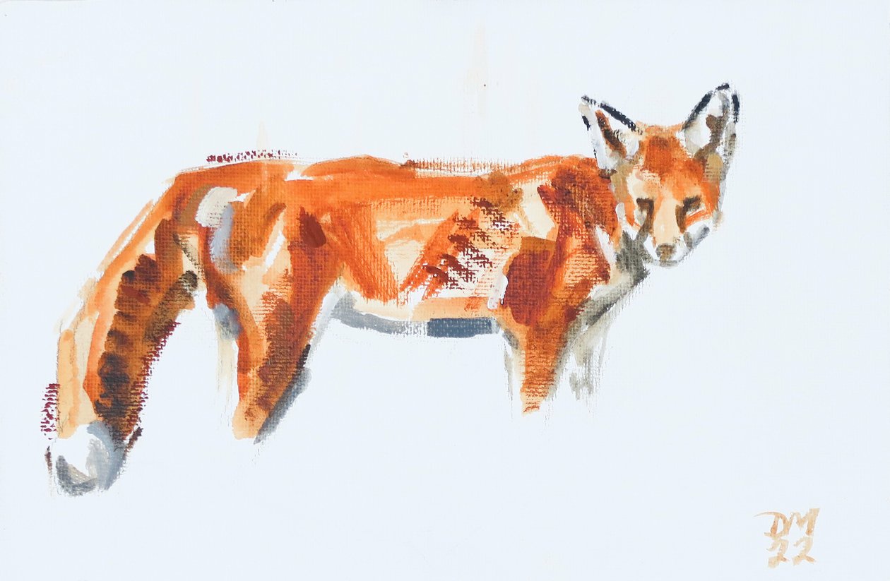 Roter Fuchs, 2022 von David Mayer