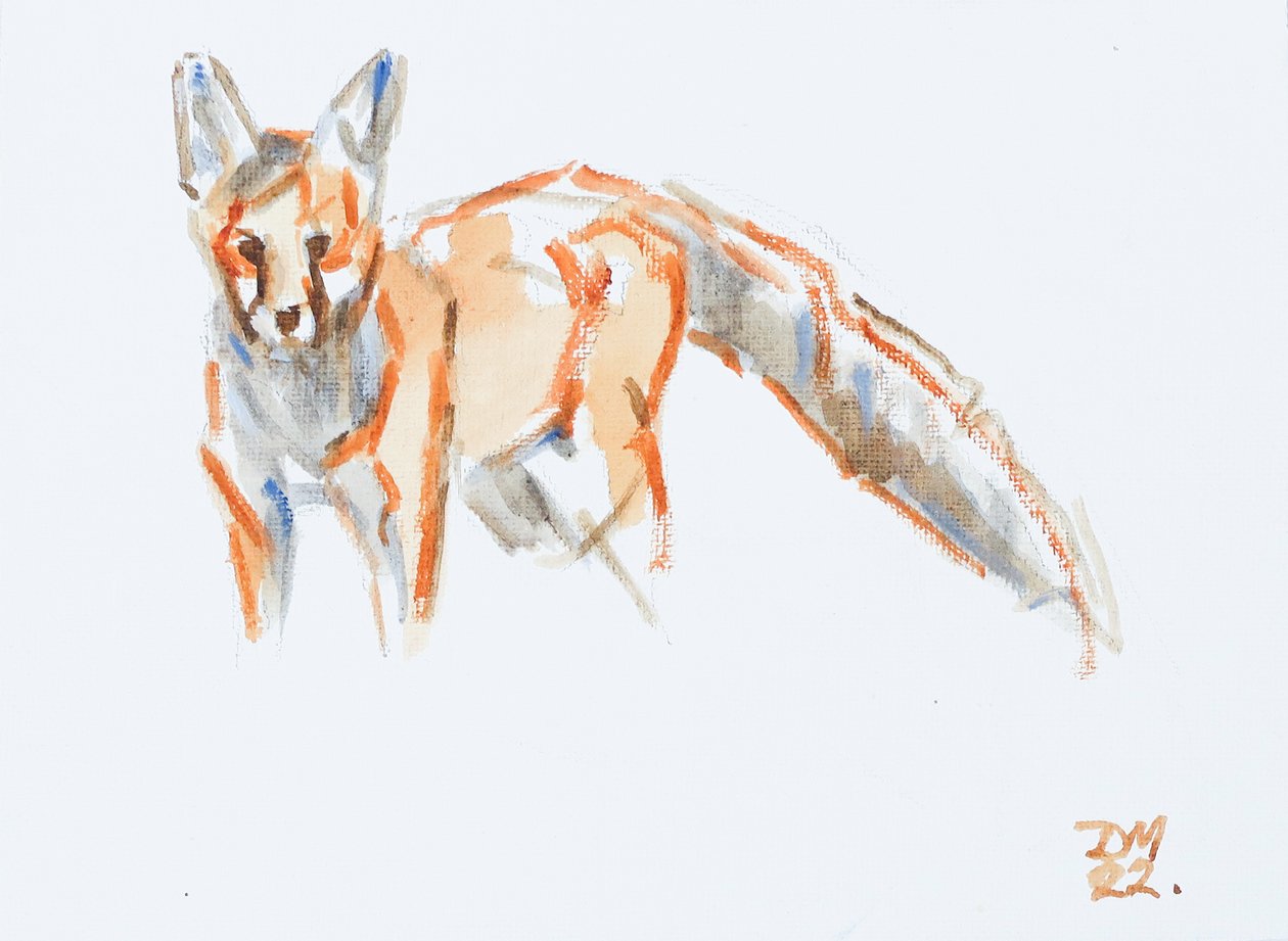 Rotfuchs, 2022 von David Mayer