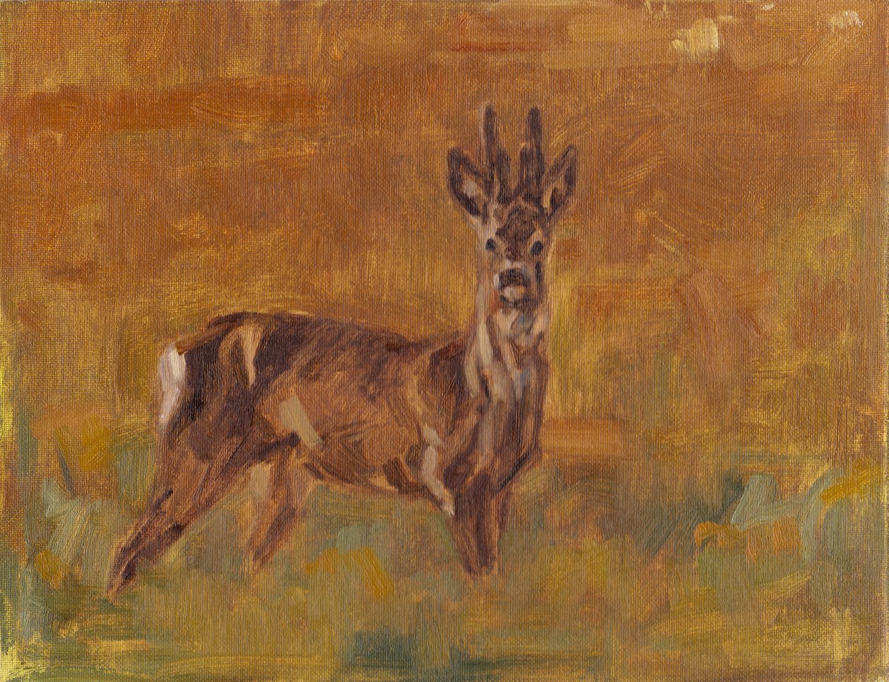 Rehbock, 2021 von David Mayer