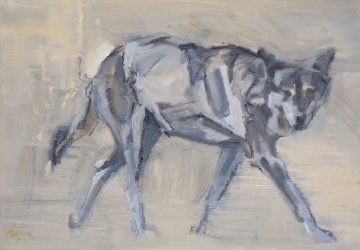 Wolf 11, 2023 von David Mayer