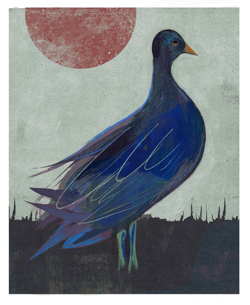 Taubenblues von David McConochie