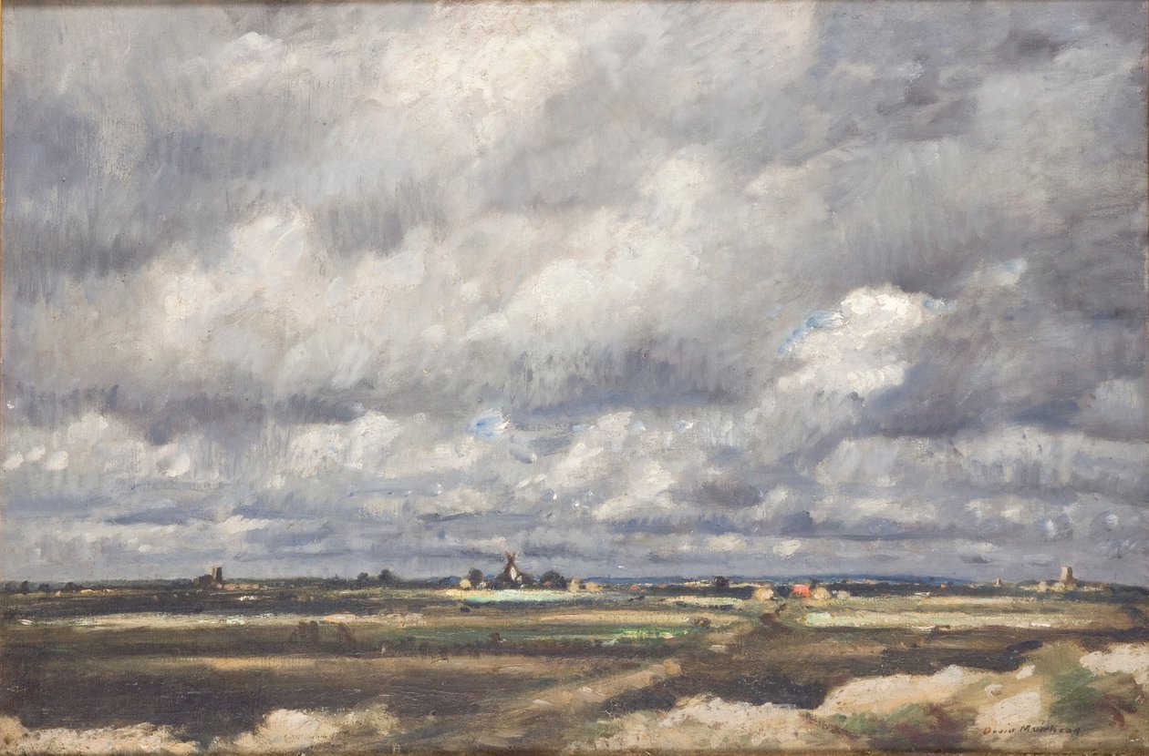 Sturm über weites Land von David Muirhead