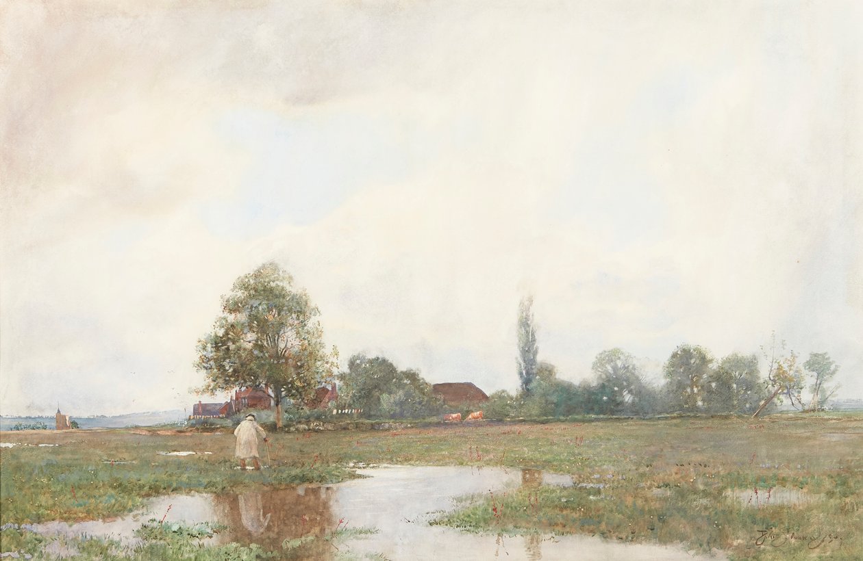 Durch die Wasserwiese von David Murray