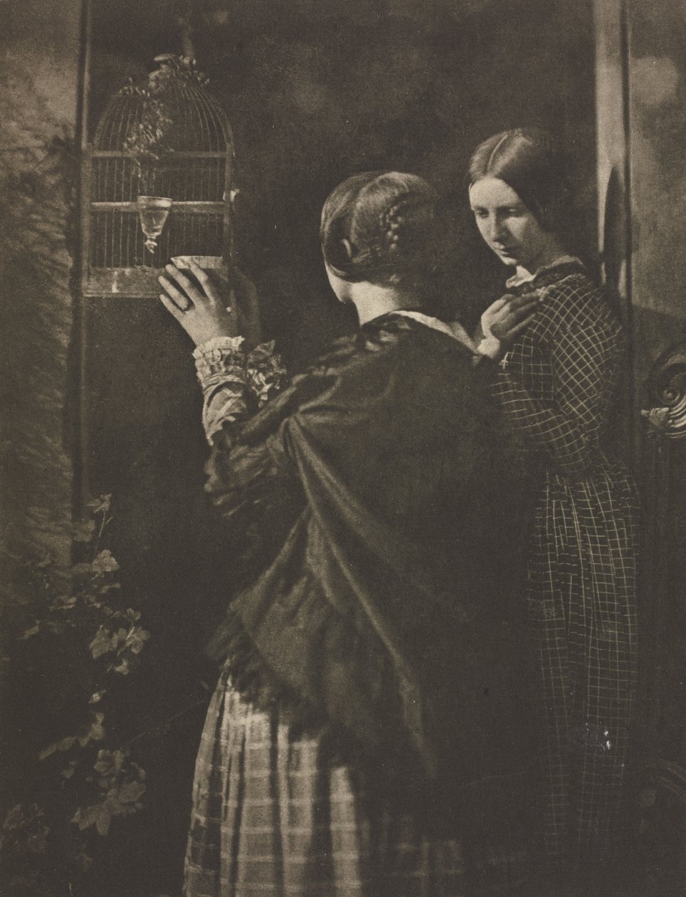 Camera Work: Der Vogelkäfig, 1909 von David Octavius Hill