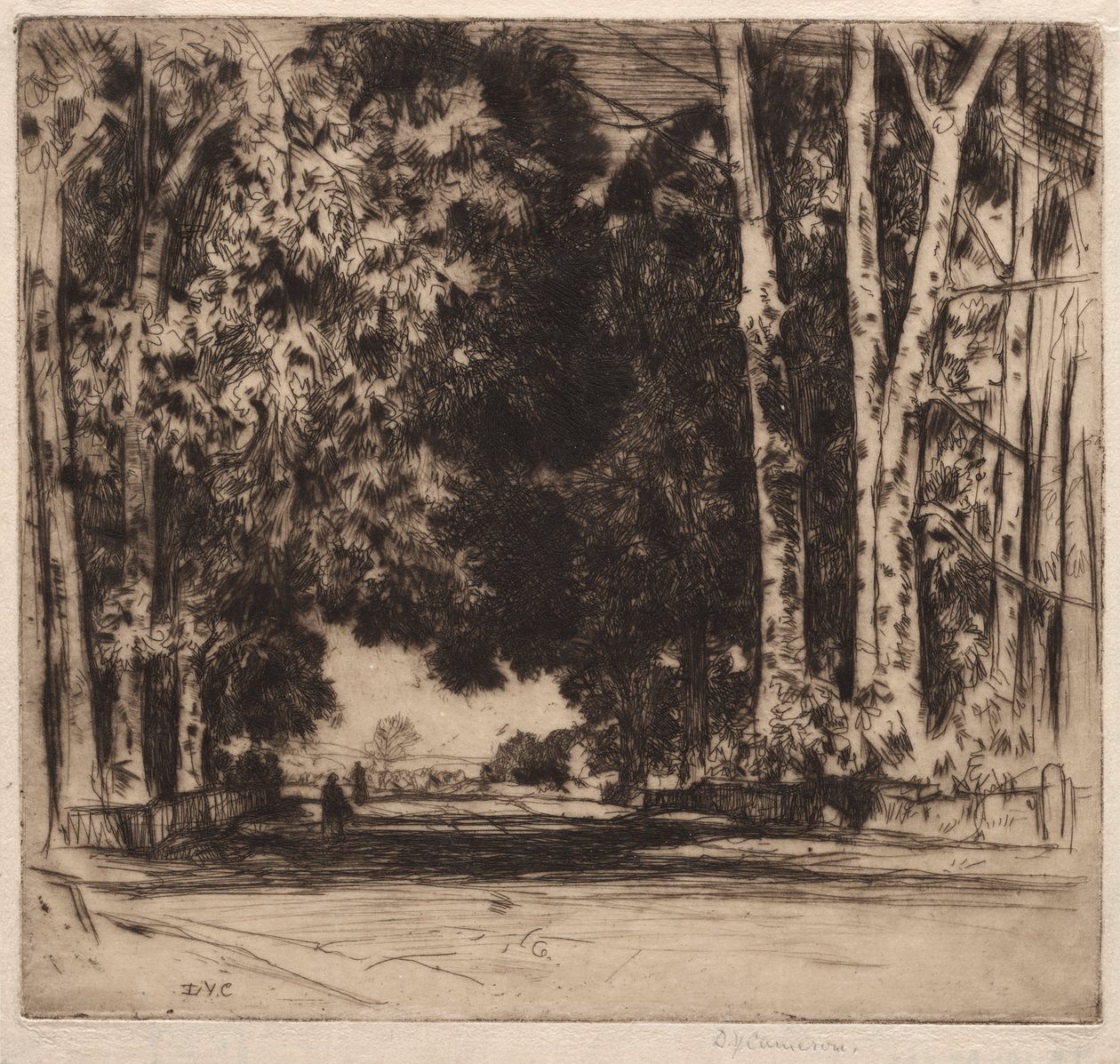 Die Allee von David Young Cameron
