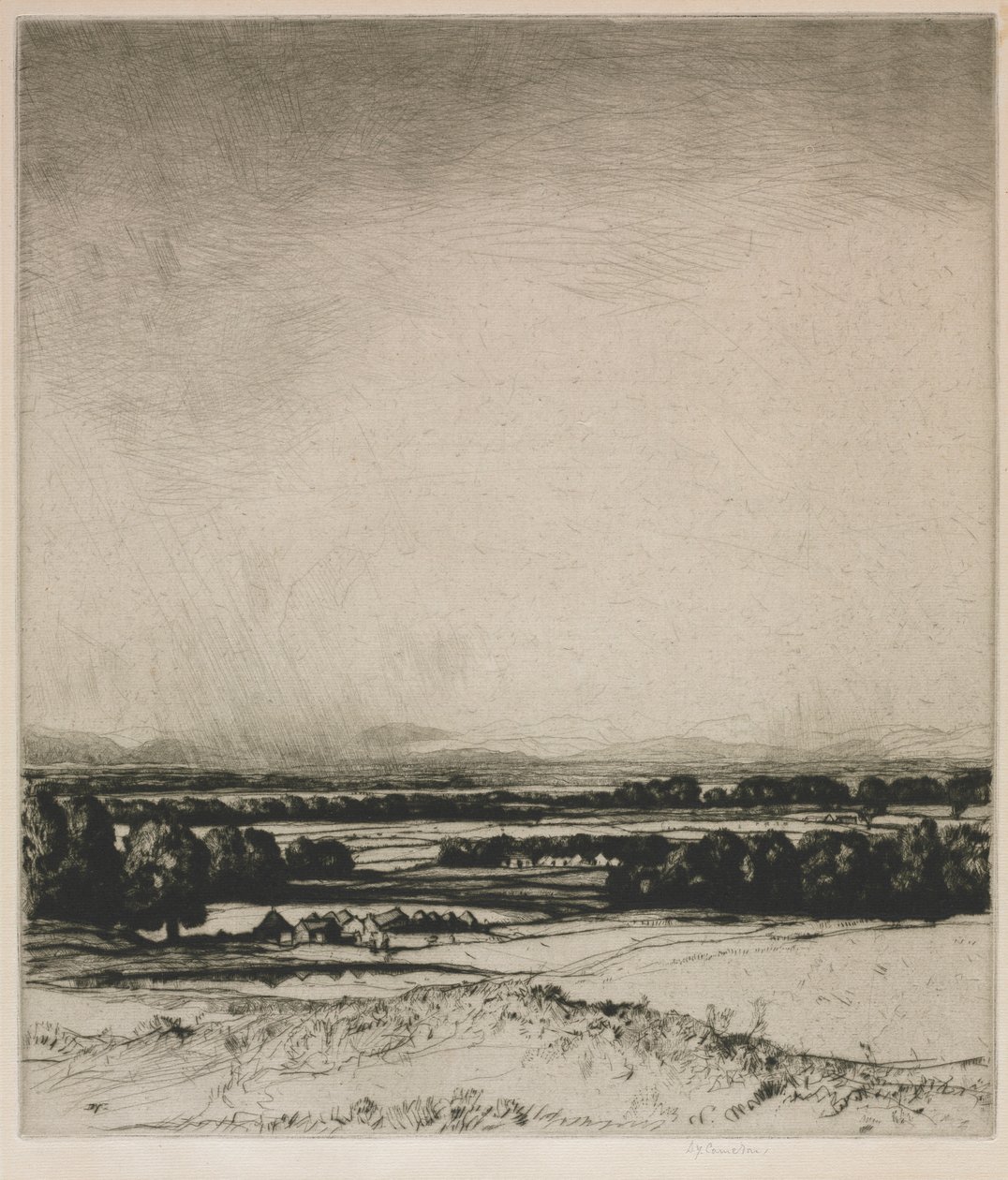 Tal des Tay von David Young Cameron