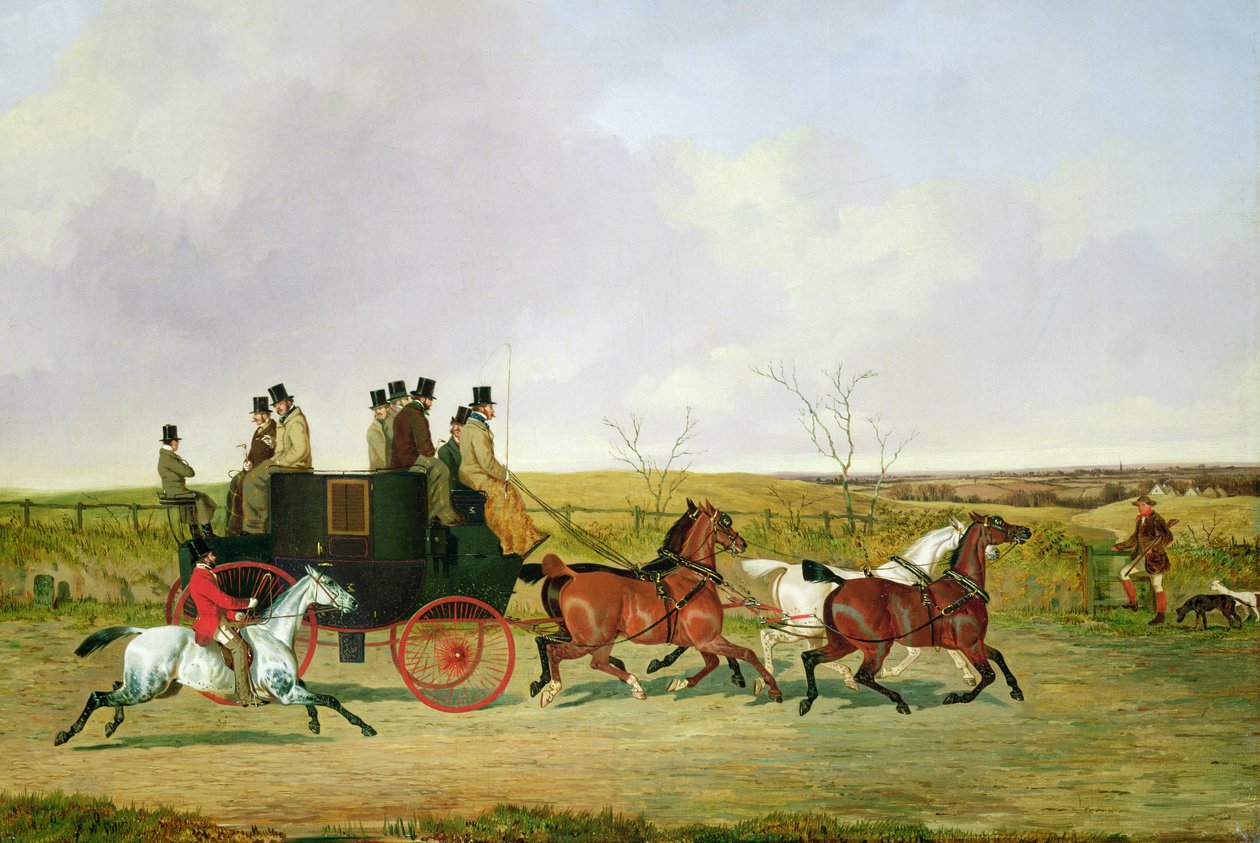 Pferd und Kutsche von David of York Dalby