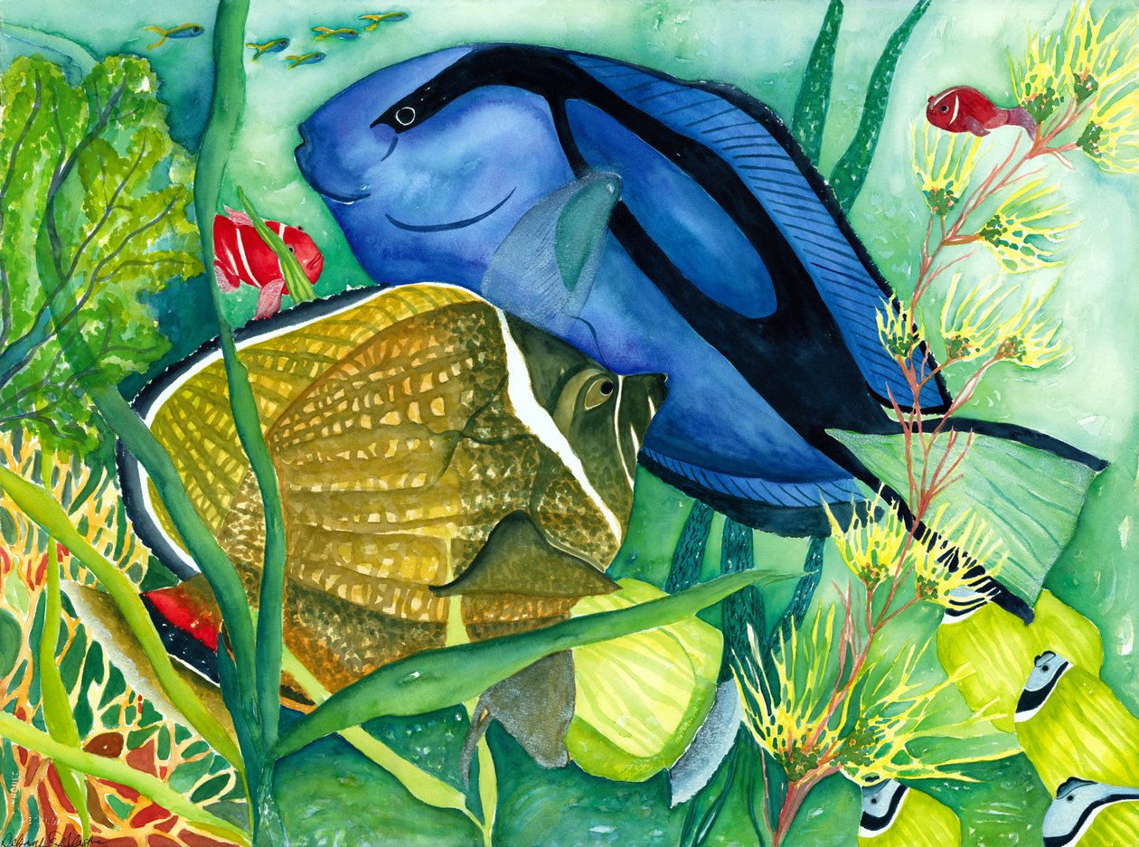 Blauer Doktorfisch von Deborah Eve Alastra