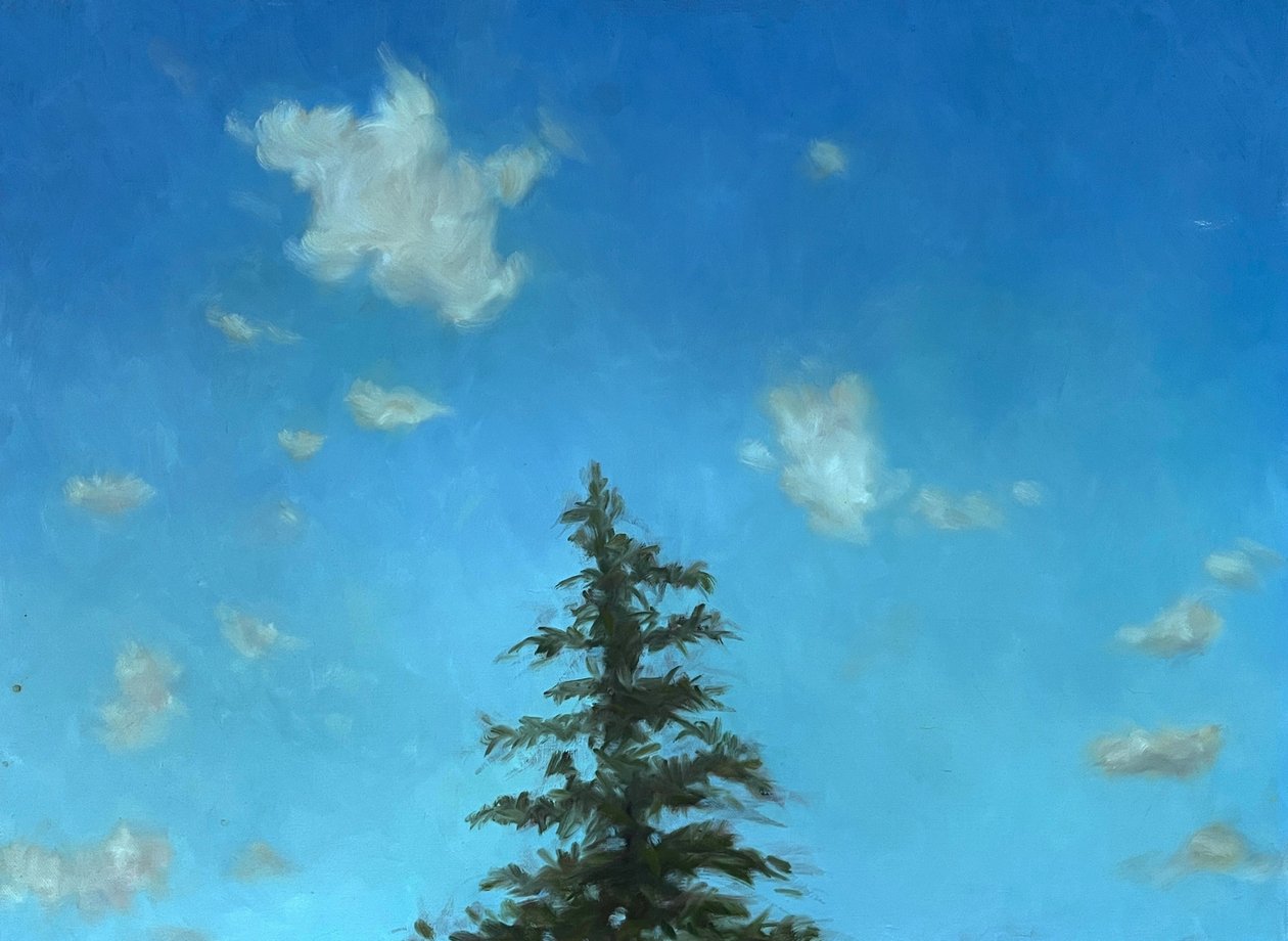 Einsame Kiefer von Deborah Stevenson