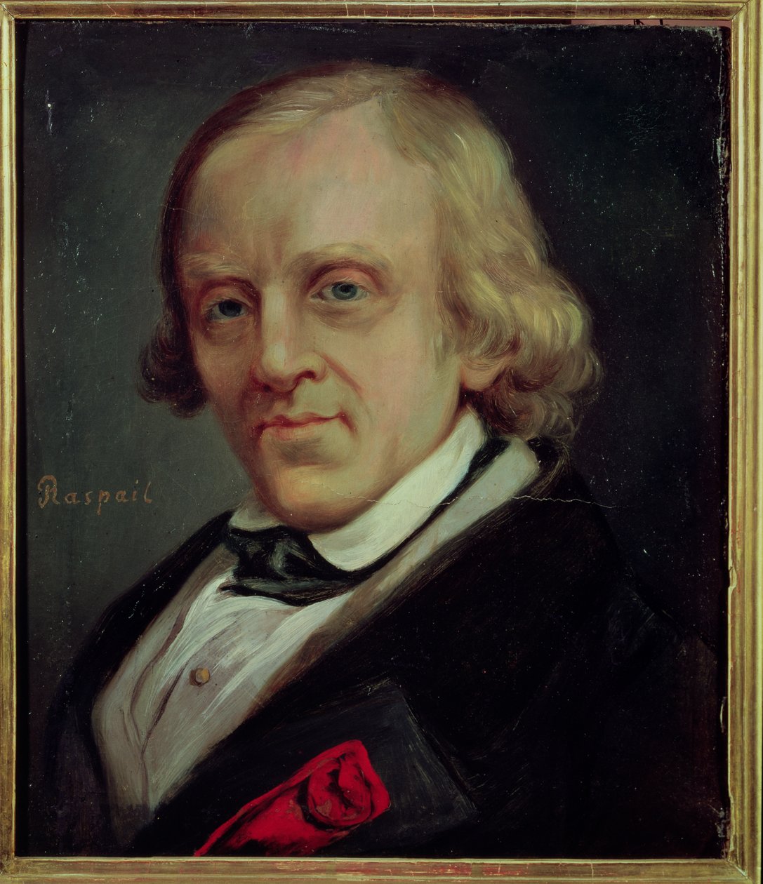 Francois Vincent Raspail (1794-1878) 1849 von Denis Bonnet