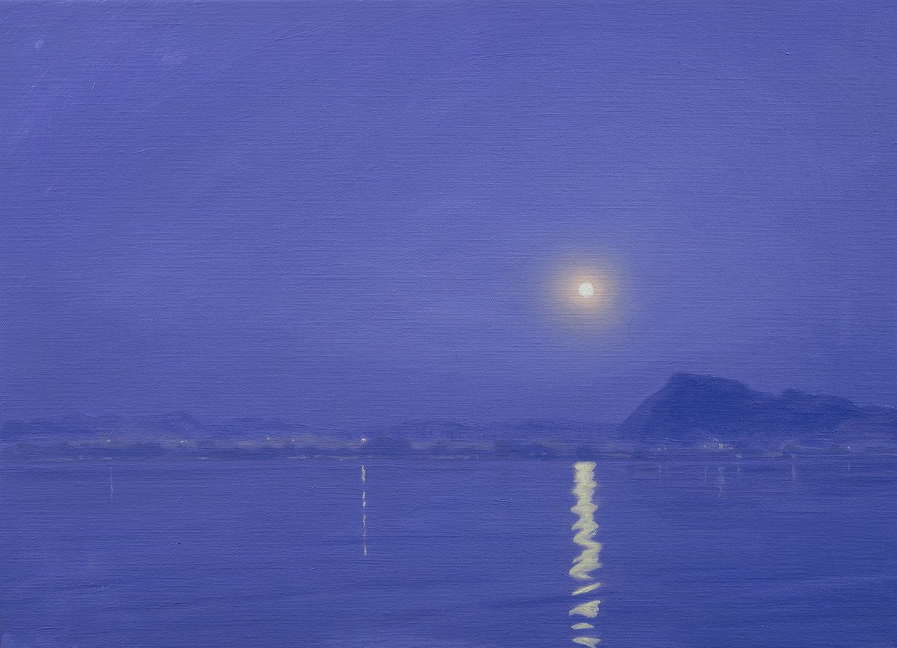 Mondlicht über Udaipur von Derek Hare