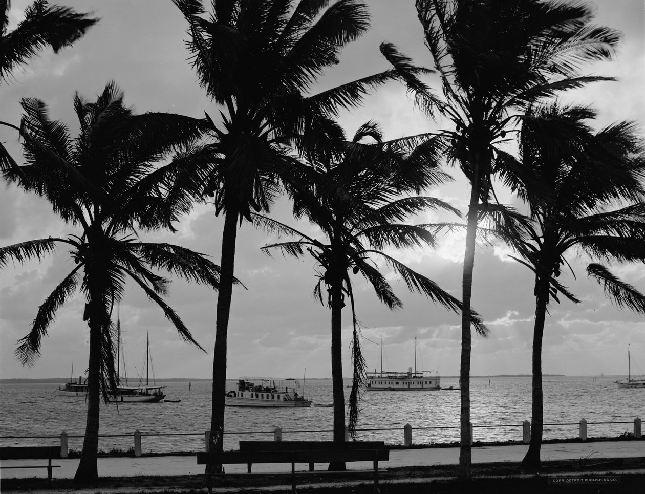Sonnenuntergang, Biscayne Bay, Miami, Florida, ca. 1910-20 von Detroit Publishing Co.
