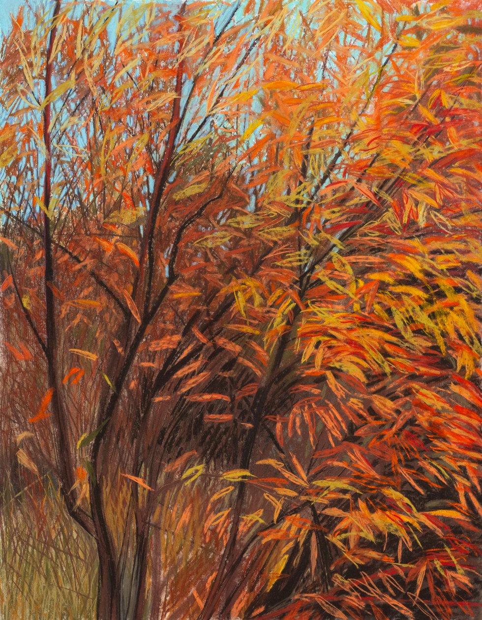 Rote Weide 1a, 2021 von Diana Jahns