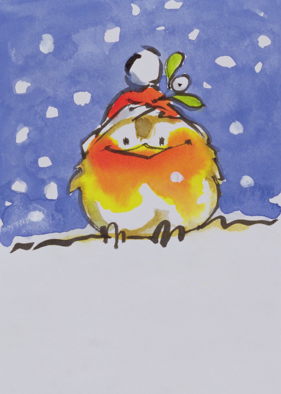 Weihnachtsrotkehlchen von Diane Matthes