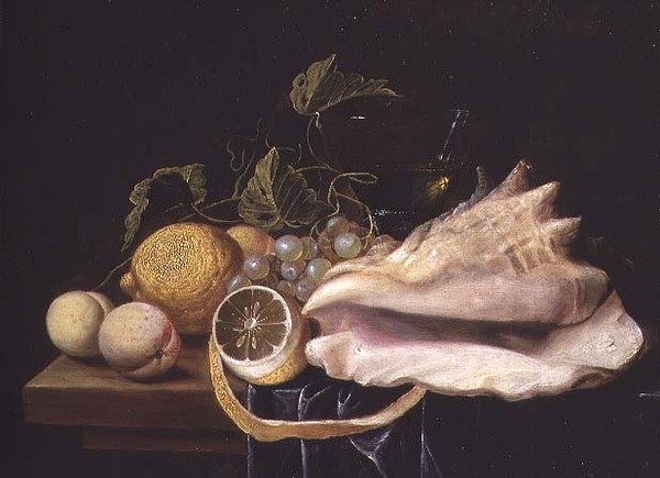 Stillleben mit Strombus-Schnecke und Früchten von Dirck Sauts