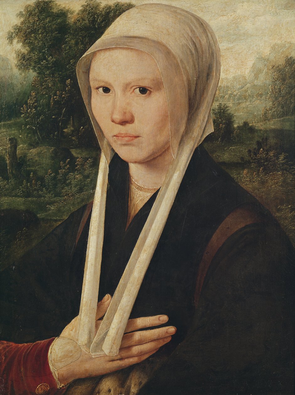 Porträt einer jungen Frau, um 1530 von Dirk Jacobsz