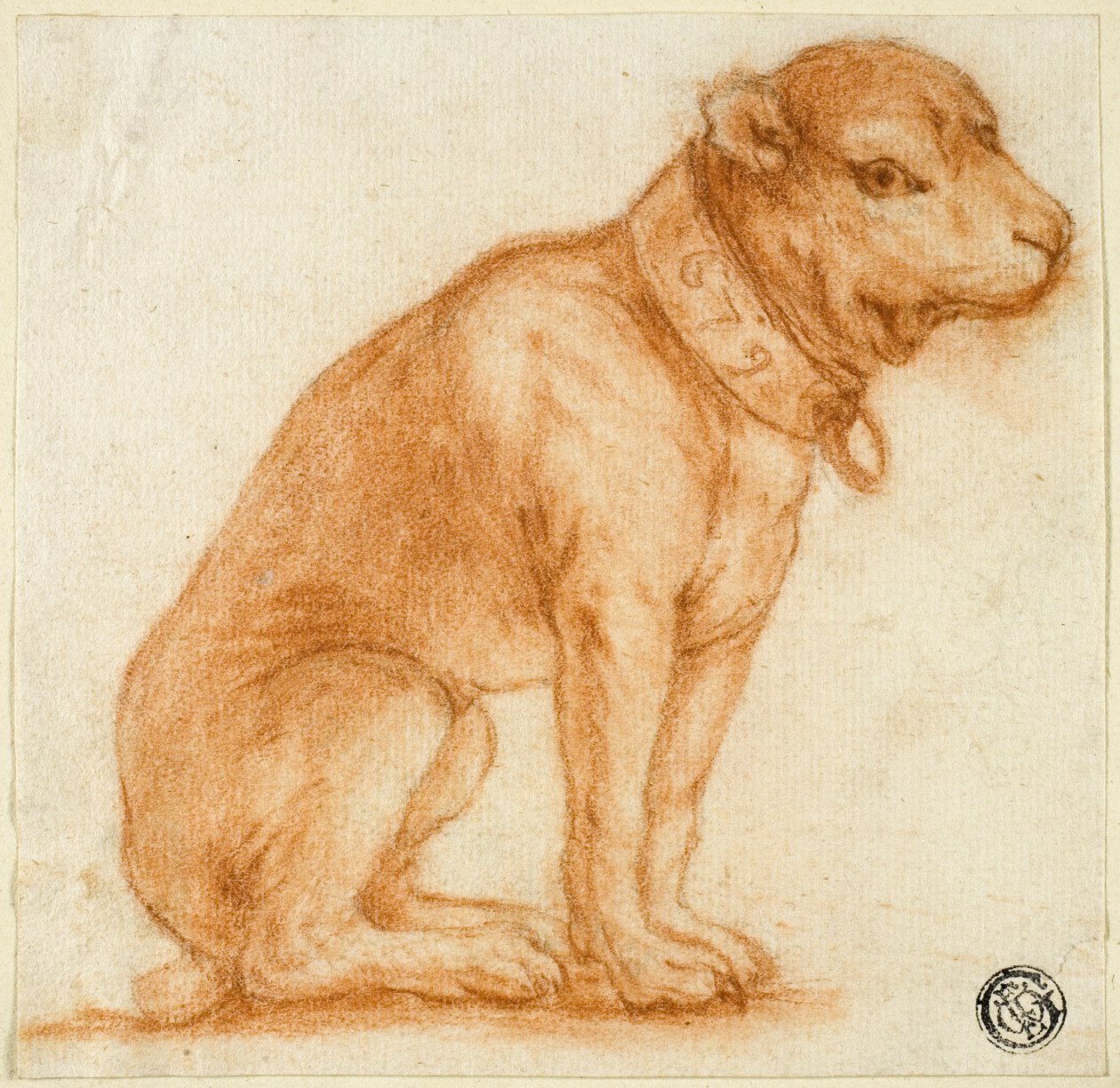 Sitzender Hund mit Halsband von Dirk Valkenburg