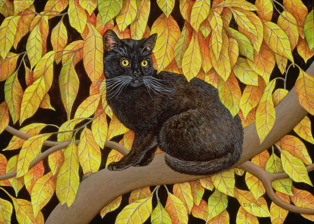 Herbstblätter, 1994 von Ditz