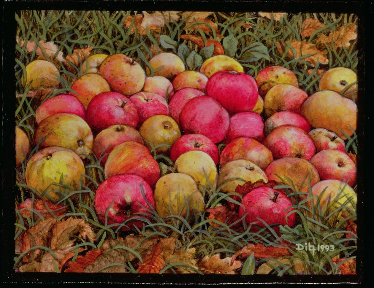 Durnitzhofer Äpfel, 1993 von Ditz
