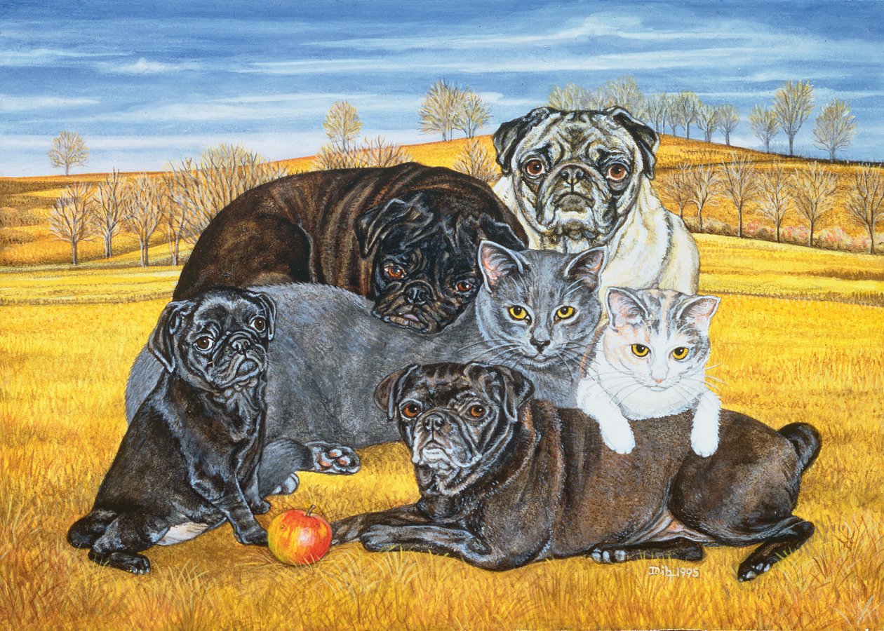 Hocking County Pug-Katzen, 1995 von Ditz