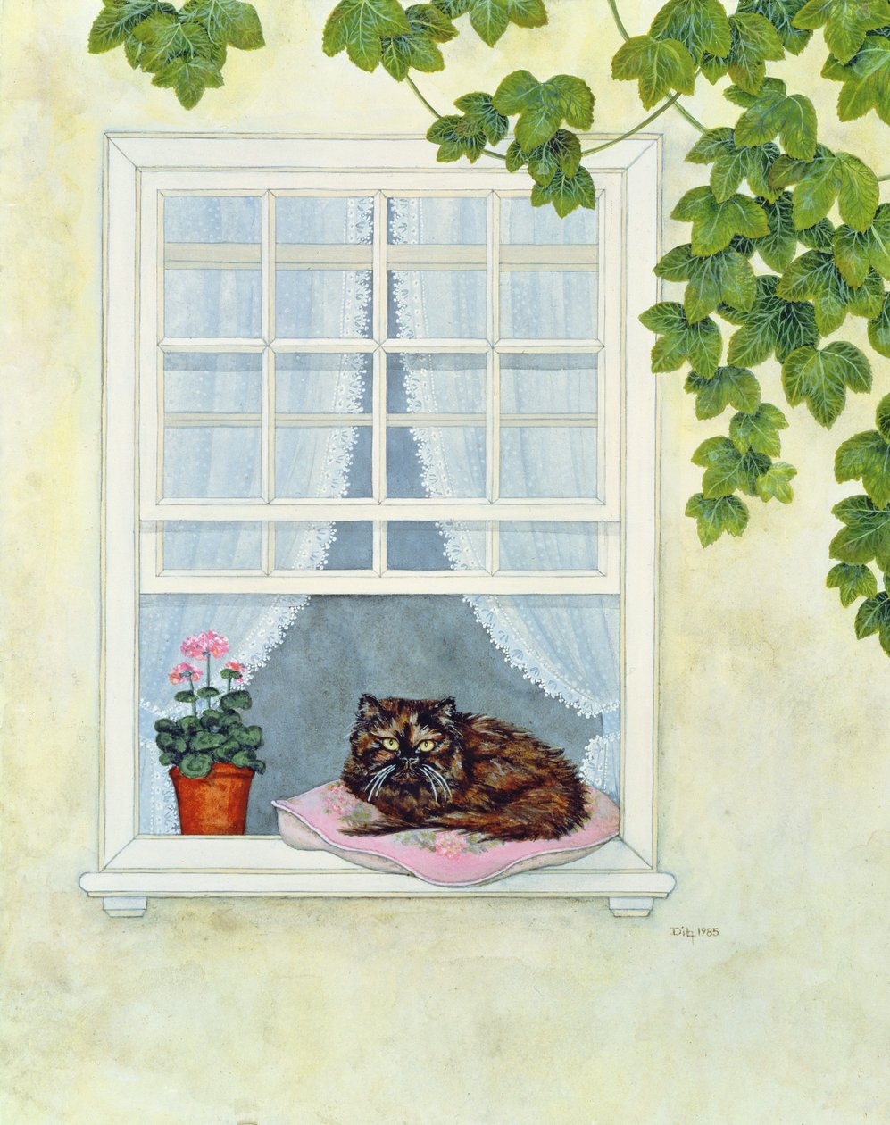 Pams Katze von Ditz