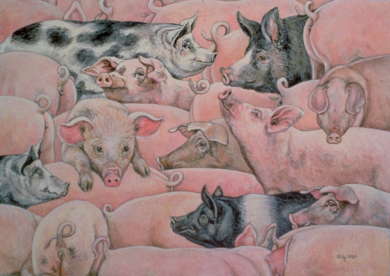 Schweine-Aufstrich von Ditz