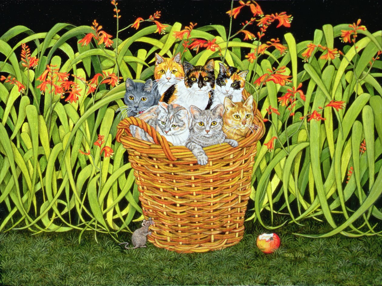Die Montbretia-Maus von Ditz Ditz