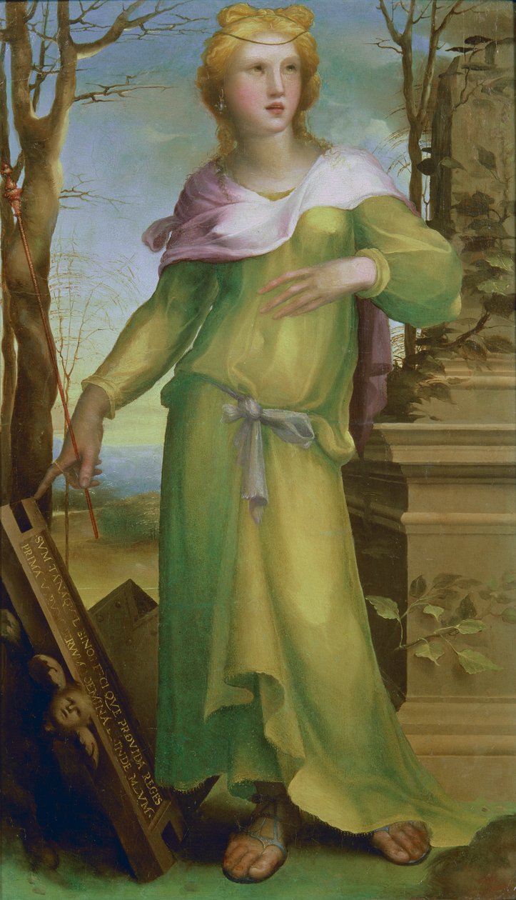 Tanaquil von Domenico di Pace Beccafumi  