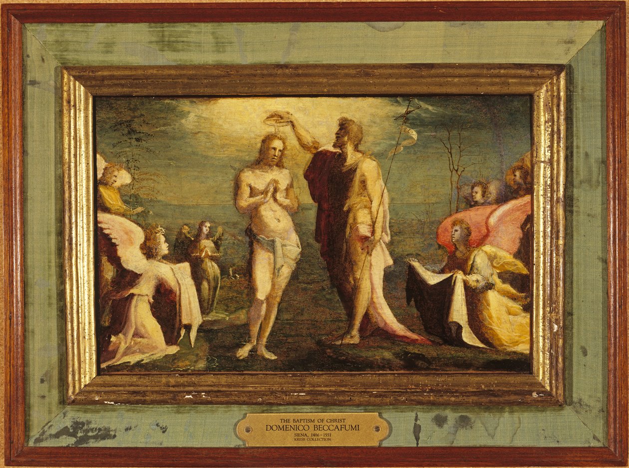 Die Taufe Christi, 1528 von Domenico Beccafumi