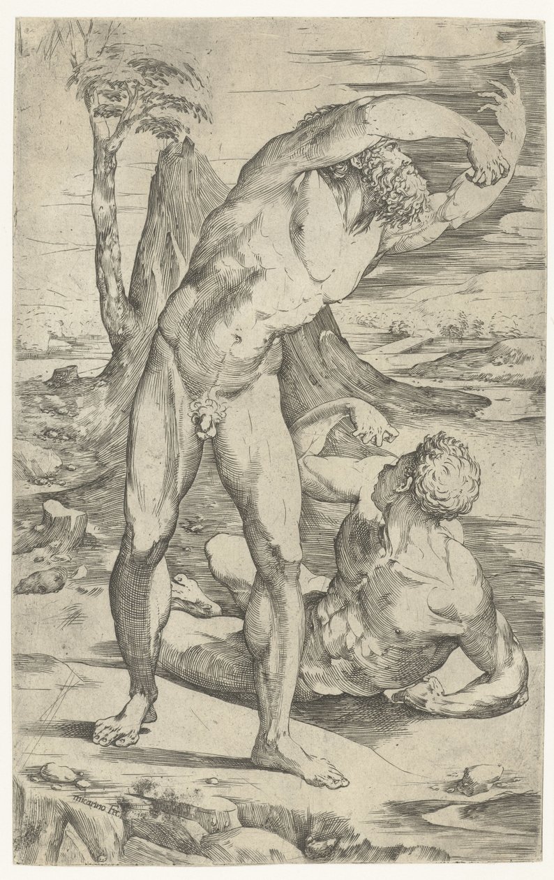Zwei nackte Männer in einer Landschaft von Domenico Beccafumi